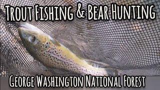 Hunting & Fishing George Washington National Forest : Will's First bear & a Stringer Full of Trout