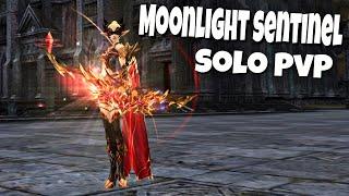 Solo Pvp - Moonlight Sentinel - Scryde OBT x100 lineage 2