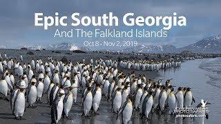 South Georgia Photo Tour 2019