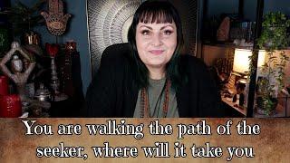 You are walking the path of the seeker, where will it take you  -   tarot reading