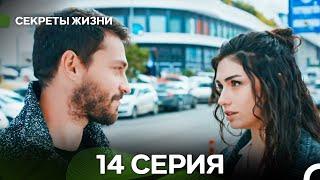 Секреты Жизни 14 Серия (русский дубляж)