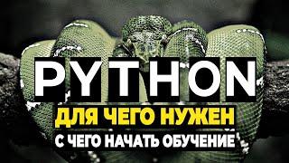 Для чего нужен язык Python и с чего начать обучение