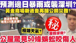 預測邊日暴雨或襲深圳？公屋離奇驚見50條蜈蚣兼咬人港媽求救？29-6-2024