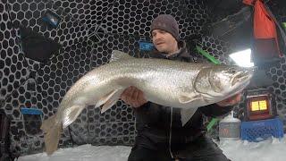 Ice Fishing For Giant Lake Trout!