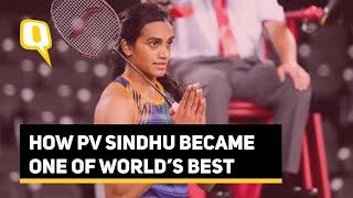 PV Sindhu’s Meteoric Rise in World Badminton