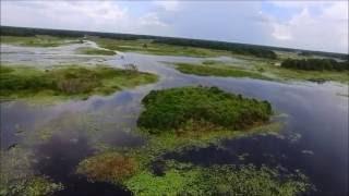 Lake Todd, Air-boat chase down. Hernando, Florida.