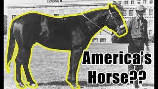 The History of the American Quarter Horse