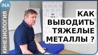 Чем выводить тяжёлые металлы? Прикладная кинезиология. С.В.Молотков