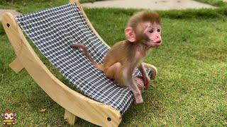 Baby monkey Yumy so happy when plays outside and sleeps with her friends