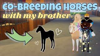 Co-Breeding Horses With MY BROTHER! | Wild Horse Islands