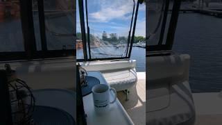 New Boat Videos From The Boat! #searay #searayboats #boating #boatingwithboogaboo