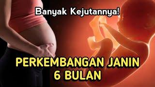 SERBA-SERBI JANIN 6 BULAN