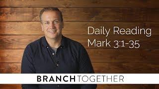 Daily Reading - Mark 3