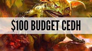 $100 Budget CEDH Gameplay | Krark/Sakashima vs Marwyn vs Zirda vs Thrasios/Vial