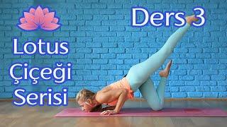 Lotus Çiçeği Serisi -  Ders 3