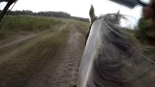 Anna Sokólska and Czanar - horseback archery - very fast