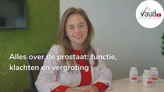 Alles over de prostaat: onderzoek, behandeling en klachten - Deskundig advies