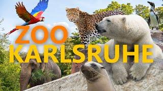 Zoologischer Stadtgarten Karlsruhe | Zoo-Eindruck