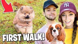 Our Puppy’s FIRST WALK! (SUPER CUTE)