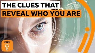 The hidden clues that reveal who you are | BBC Ideas