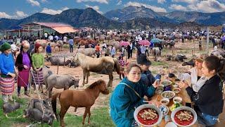 CHỢ PHIÊN NGUYÊN SƠ NHẤT TÂY BẮC BÁN TOÀN ĐẶC SẢN QUÝ HIẾM