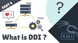 What is DDI NETWORKS FOR WEB DEVELOPERS [#DDI] #PART4