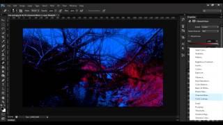 Digital Art Creation Speed Art: Creepy Forest!!!!