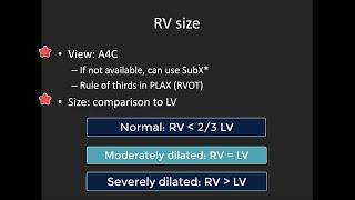 Basic Right Ventricle Assessment with POCUS