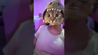 apaan tuh #pemersatubangsa #viral #shorts #shortvideo #videoviral