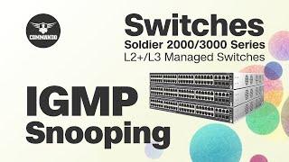 How to Configure IGMP Snooping using CLI - COMMANDO Soldier 2000/3000 Series L2+/L3 Managed Switches