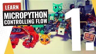 Learn MicroPython - Part 1 Controlling the flow