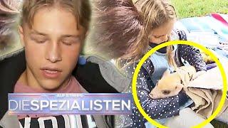 Mias (8) Ferkel vergiftet ihre Brüder! | 1/2 | Die Spezialisten | SAT.1