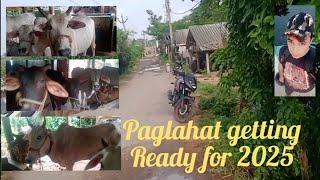 cow collection 2025 first vlog paglahat #myfirstvlog #kolkatacowvlog #trendingvlog #cowlover #cows