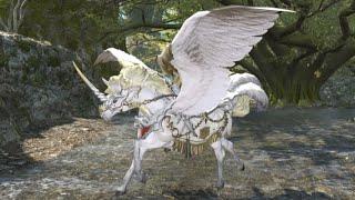 Final Fantasy 14 | Road to Astrope Mount | 2000 Mentor Roulettes