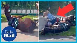 Shocking moment stampeding horses fall and crash into woman at Grand National