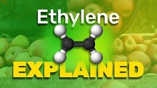 Ethylene Explained [2024]