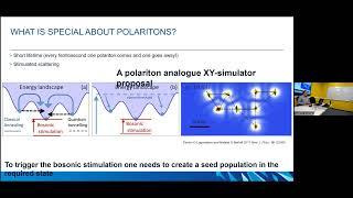 Seminar on "Qubits based on exciton polaritons condensates" by Prof. Alexey V. Kavokin