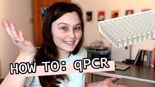 HOW TO: qPCR | Tutorial video | Follow a scientist doing a qPCR