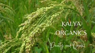 Purely Organic products in Kalya Organics