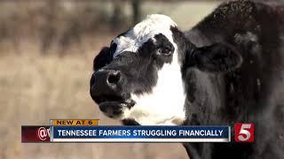 Tennessee farms struggling to stay afloat