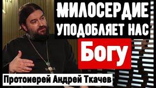 Милосердие спасёт МИР  Протоиерей Андрей Ткачев