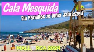 Cala Mesquida️MALLORCA island🩷NEW Strandparadies im Nordosten Mallorcas TOP! spain #mallorca