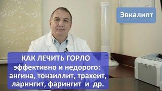 Лечение горла: ангина, тонзиллит, ФАРИНГИТ, ларингит, трахеит. Эвкалипт: эффективно, недорого.