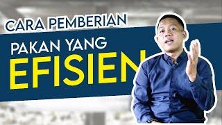 CARA PEMBERIAN PAKAN YANG EFISIEN UNTUK AYAM BROILER