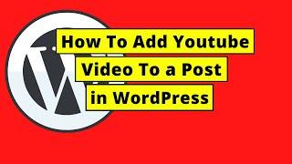 How To Add Youtube Video To a Post in WordPress