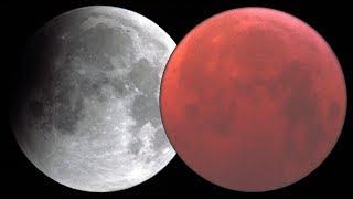 Blood Moon Lunar Eclipse Timelapse - 4 hours in 8 minutes