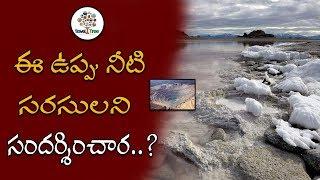 Have You Ever Visited These Salt Water Lakes Before || Travel Vlog || Travel Tree