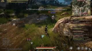 BDO Player caught botting in Helms