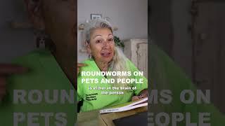 Roundworms on Pets and People