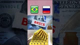 What are the BRIC nations Why did Donald Trump threaten them with Tariffs | Brics Currency